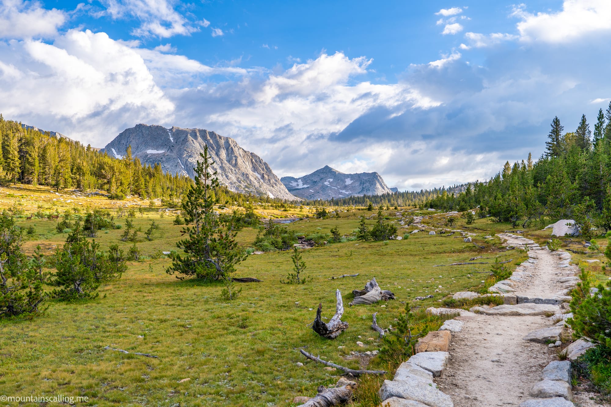Trail through a Yosemite high country meadow with granite peaks rising beyond the treeline | Yosemite Life