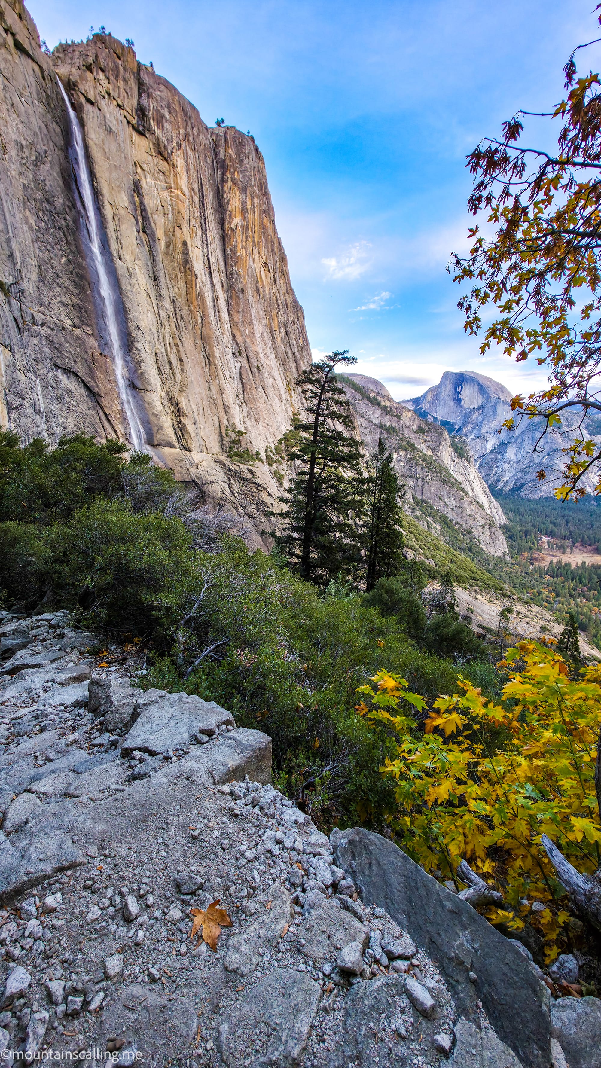 Upper Yosemite Falls cascading down the granite cliff face with Half Dome visible in the distance and autumn foliage in the foreground | Yosemite Life