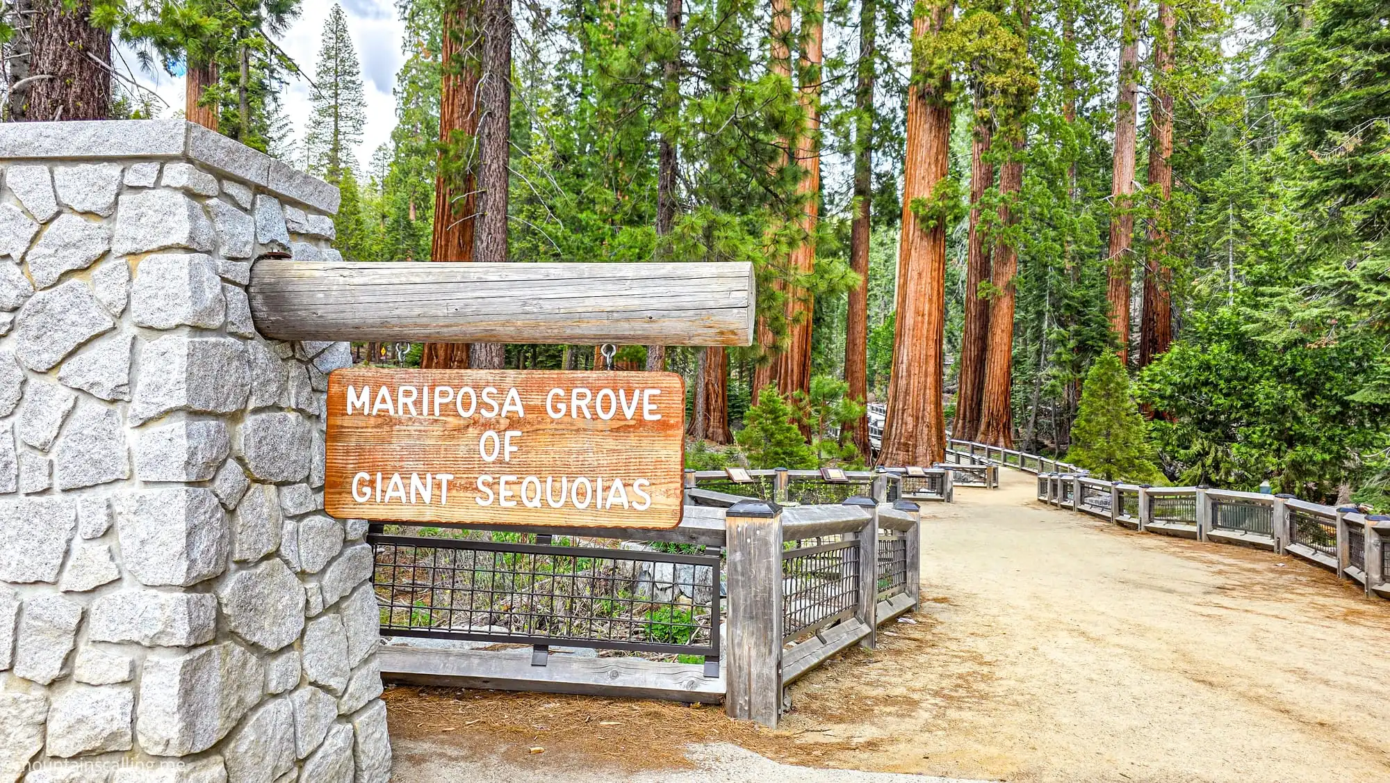 Mariposa Grove entrance sign and wooden boardwalk trail surrounded by giant sequoia trees in Yosemite National Park